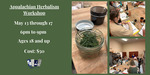 Appalachian Herbalism Workshop Eventbrite banner by Grace Mahieu
