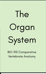 BIO 310: The Organ System by Makenna Franks